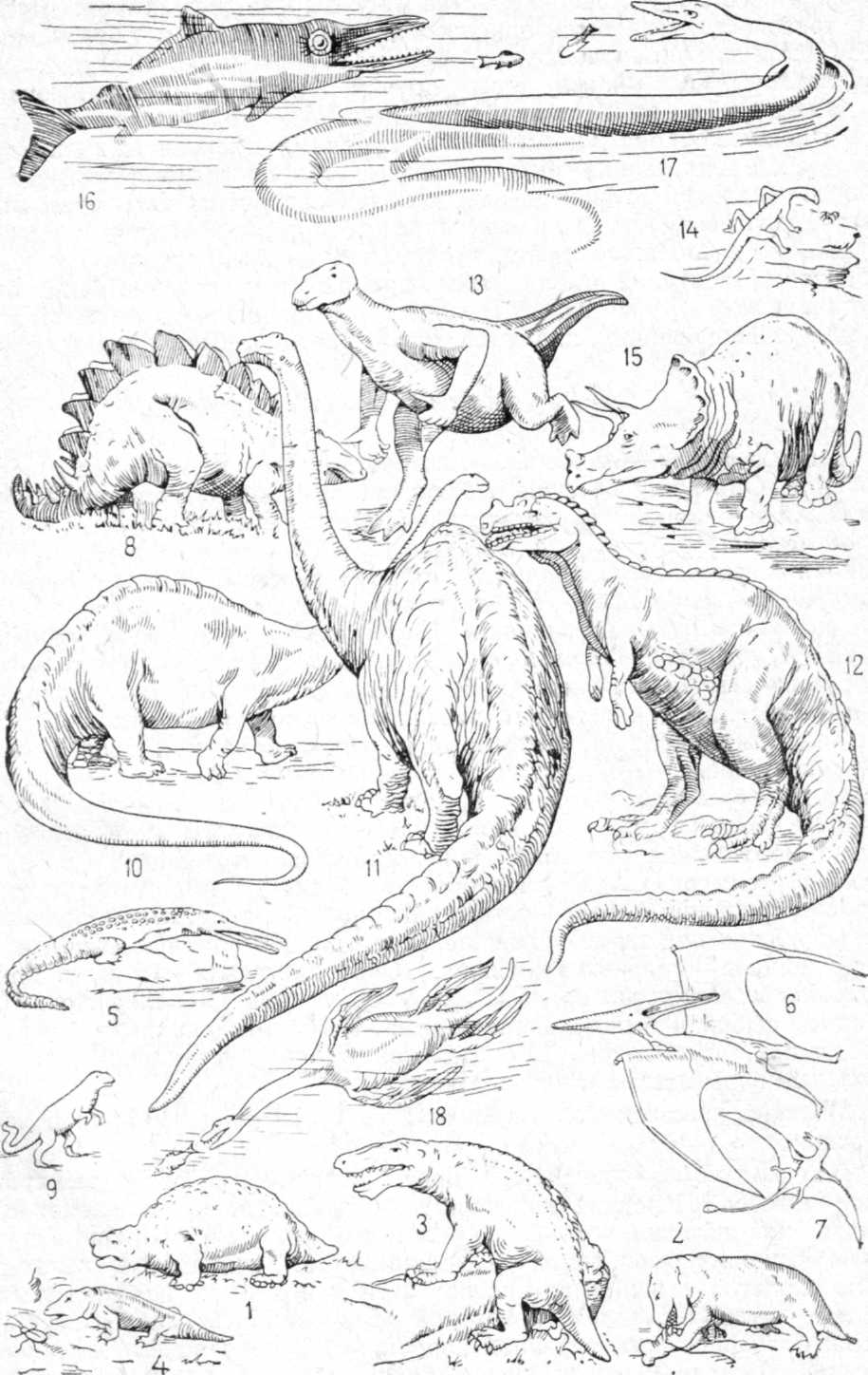Рептилии верхнего палеозоя и мезозоя